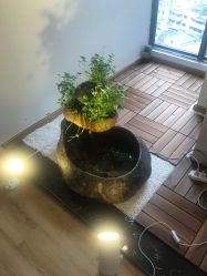 -溢美古法抗衰