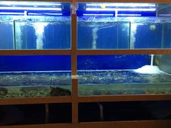 -碳说品道.瓦片烤肉.海鲜烧烤(中华路店)