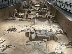 -洛阳周王城天子驾六博物馆