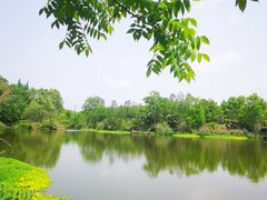 -桤木河湿地公园