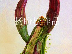 -荷兰布尔玛国际花艺学院