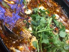 -宽窄巷子冒菜(中华广场店)