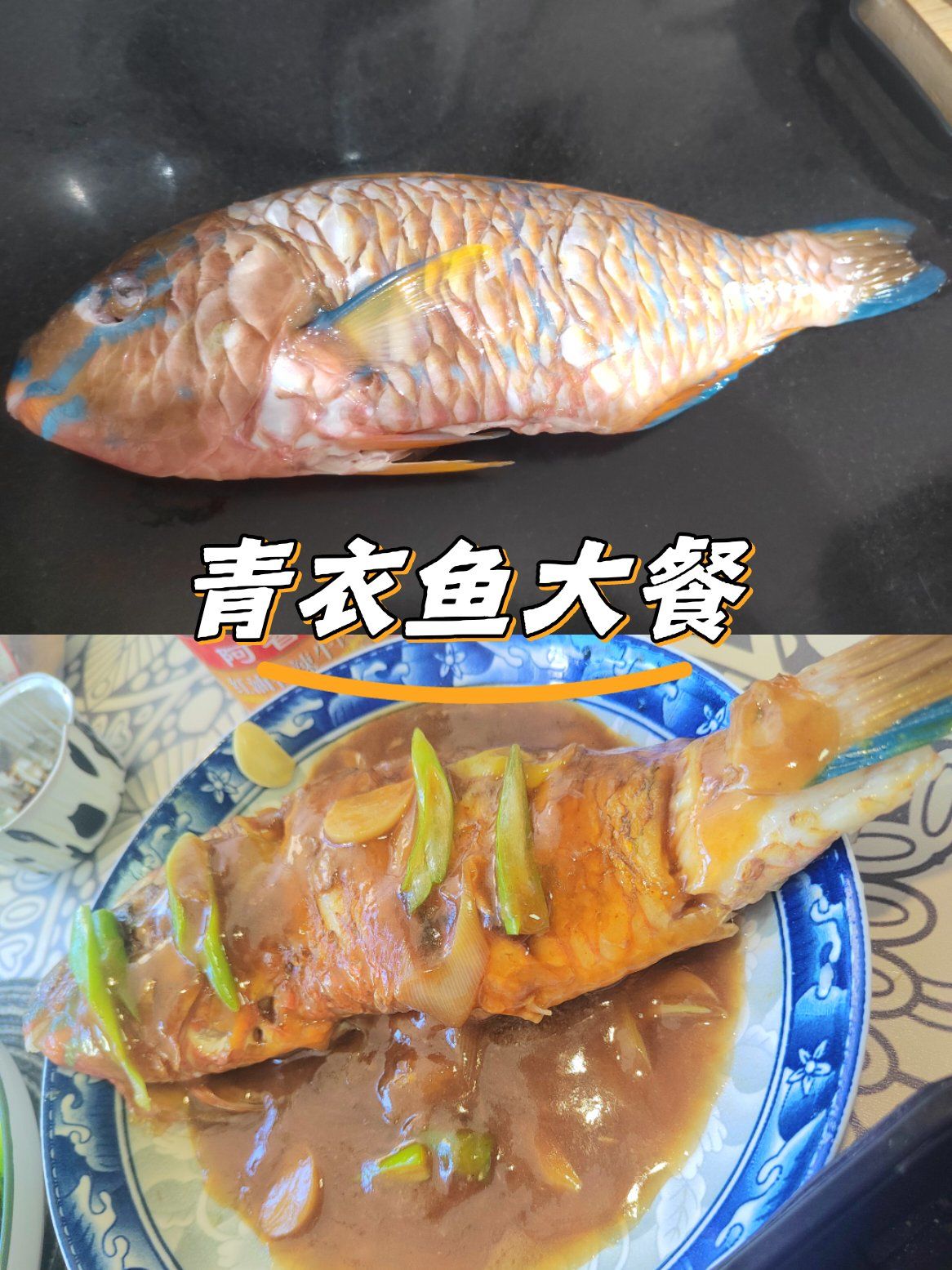 青衣鱼大餐!