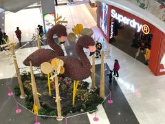 -凯德广场(学府店)