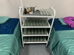 -苗塑堂减肥·艾灸