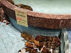 -西贝海鲜汇(槐安路店)