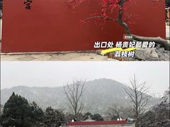-华清宫景区