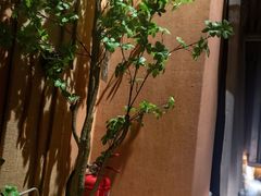 -泰·菩提树下[泰式按摩x精油SPAx肩颈头疗](新景店)