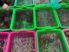 -众味海鲜大排档·活海鲜·潮汕味(南澳店)
