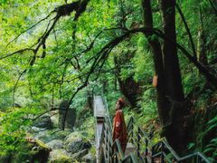 -龙苍沟森林公园