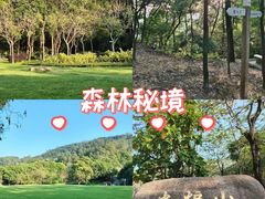 -火炉山森林公园