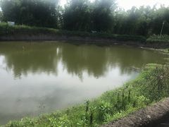 -苏家围·东江画廊旅游景区