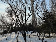 -中央广播电视塔