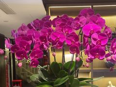 -花锦堂·隐庐