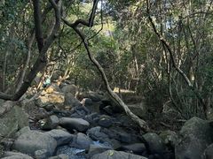-马峦山郊野公园