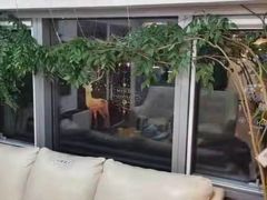 -精德口腔·种植修复·儿牙中心(财富中心店)
