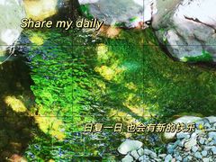 -云岫谷游猎自然风景区