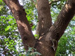 -杭州半山国家森林公园