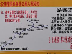 -莫尔道嘎国家森林公园