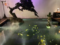 -觀芷隐轩