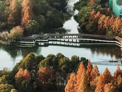 -九曜山