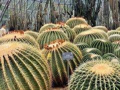 -深圳仙湖植物园