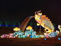 -亚龙湾国际玫瑰谷