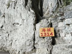 -百色大石围天坑群
