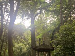-西湖风景区十里琅珰-五云山
