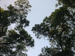 -云溪植物园