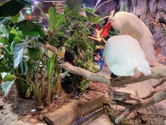 -正佳雨林生态植物园