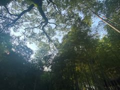 -岳麓山风景名胜区