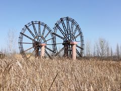 -泗洪洪泽湖湿地景区