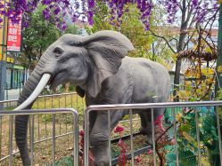 -萌宠亲子动物乐园(槐房万达店)