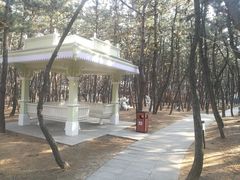 -林海公园