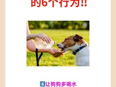 -爱侣·安琦尔宠物医院·中兽医针灸·心内科·狂犬免疫点(宝山区院)
