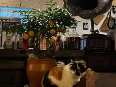 -BUND·FIVE外滩5号(天际店)