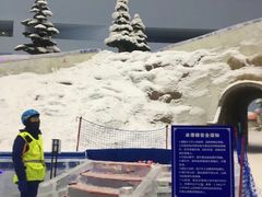 -哈尔滨热雪奇迹