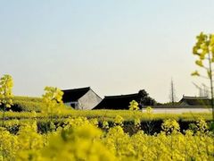 -上海佘山国家森林公园天马山园