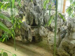 -荔城生鲜盛宴(番禺旗舰店)