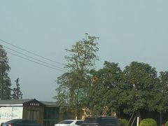 -长廊欢乐园