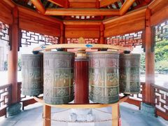 -上海东林寺(金山区)