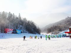 -亚布力新体委滑雪场