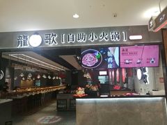 -龍歌自助小火锅(李沧丽达店)