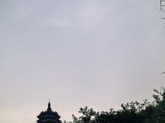 -高尔山公园