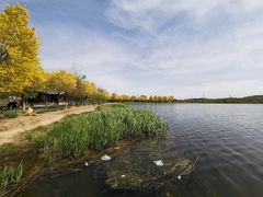 -永定河休闲森林公园