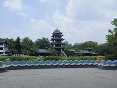 -桂湖森林公园