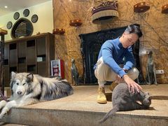 -more than meow吴止猫主题餐厅(承德 中船汇店)