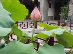 -湘子庙