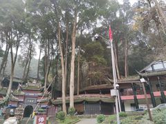 -青城山